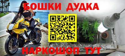 a pvp Гусев