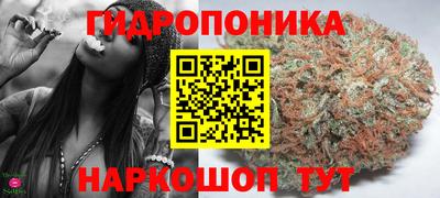 тгк Гусиноозёрск