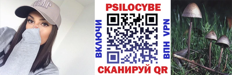 цена наркотик  Димитровград  OMG ссылка  Галлюциногенные грибы Cubensis 