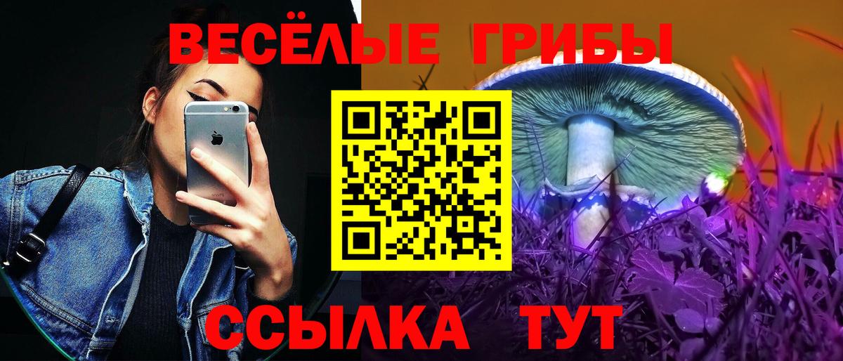Галлюциногенные грибы GOLDEN TEACHER  Димитровград  Галлюциногенные грибы Psilocybe 