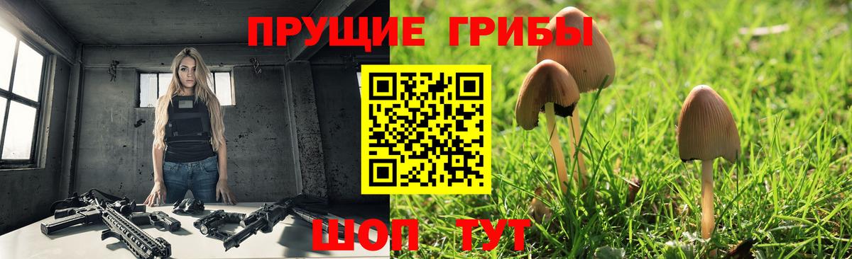 Галлюциногенные грибы Cubensis Димитровград