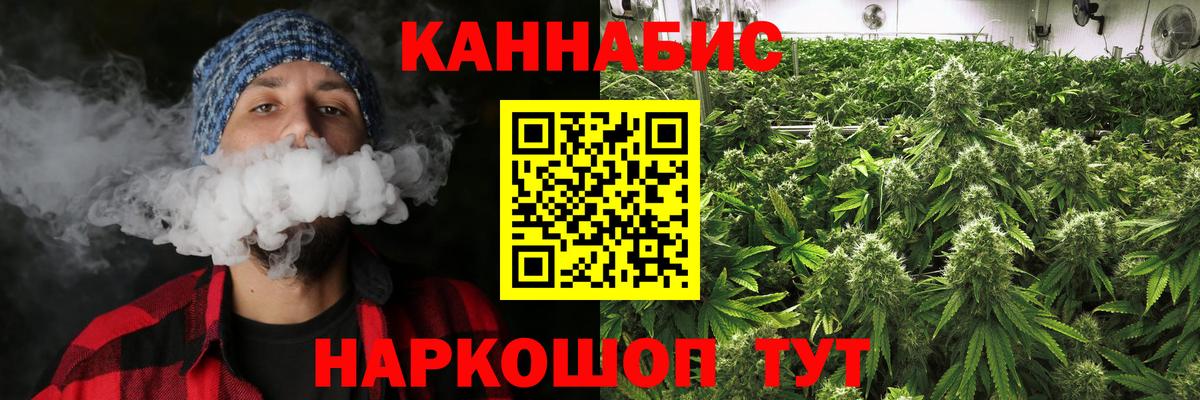 Каннабис White Widow  МАРИХУАНА сатива  Димитровград  МАРИХУАНА планчик  Каннабис OG Kush 